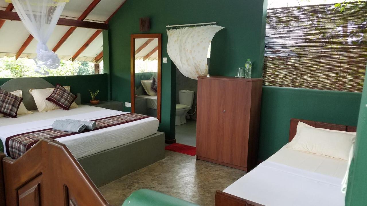 Sigiri Holiday Villa 시기리야 외부 사진