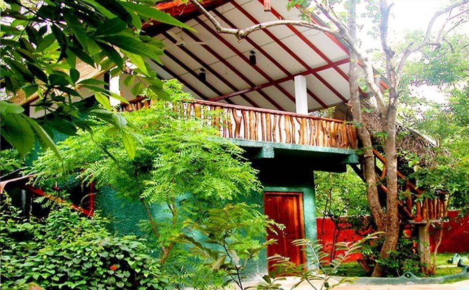 Sigiri Holiday Villa 시기리야 외부 사진