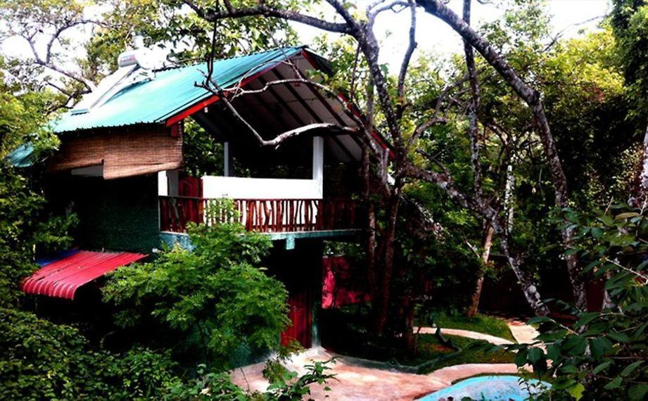 Sigiri Holiday Villa 시기리야 외부 사진